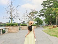 -美的鹭湖森林度假区