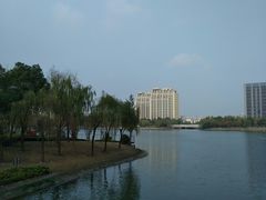 -南翔镇银翔湖公园
