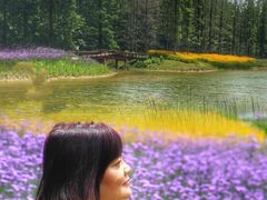 -黄海国家森林公园