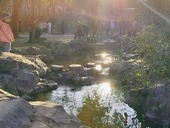-兰亭风景区