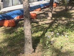 -WhaleSports户外水上运动俱乐部(朝阳公园店)