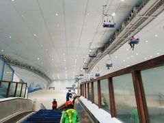 -哈尔滨热雪奇迹