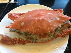 android_upload_pic-蓝港海鲜厨房(金水路店)