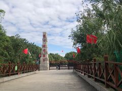 -中国扬子鳄村
