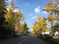 -四川大学(望江校区)