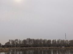 -哈尔滨大剧院