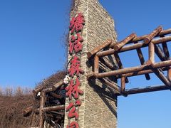 -塘沽森林公园