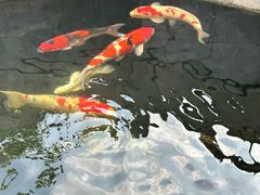 -西安市广仁寺