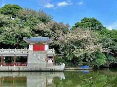 -金花茶公园