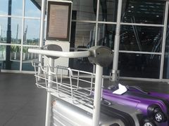 -西沃古尔·拉姆古兰爵士国际机场