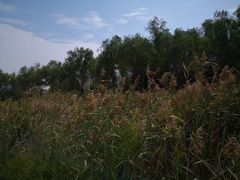 -艾溪湖湿地公园