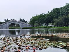 -映月湖公园