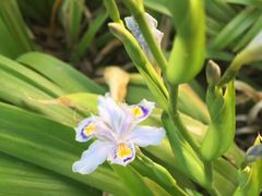 -陈记锅盖面(长江路店)