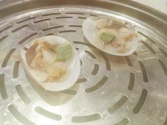 -青蓬蒸汽海鲜·深圳老字号·团建聚会(壹方城店)