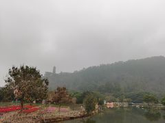 -南沙蒲洲花园