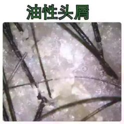 -柯琳造型
