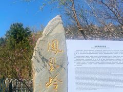 -北京凤凰岭