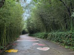 -竹泉村旅游度假区