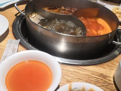 -青瓷火锅料理(西单大悦城店)