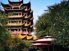 -黄鹤楼公园(黄鹤楼)