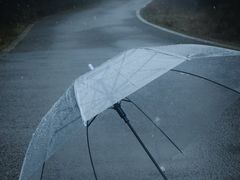 -武陵山森林公园