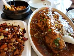 -陈麻婆豆腐总店