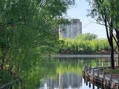 -森林公园(尖草坪区)
