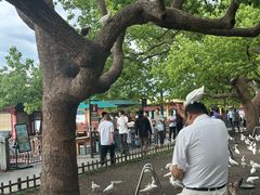 -杭州湖滨in77