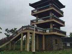 -杭州湾海上花田景区