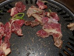 -比尔森韩式烤肉自助(绿园店)