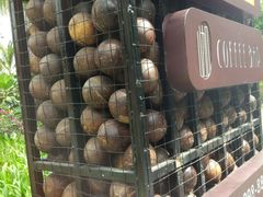 -三亚湾红树林度假世界(木棉酒店)