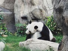 -香港海洋公园