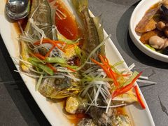 -前海沿·青岛菜(大拇指广场石老人店)