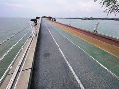 -贡湖湾湿地公园