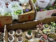 -循礼门鲜花花市(武汉循礼门店)