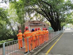 -燕晗山郊野公园