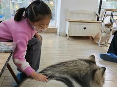 -李小姐の猫咖啡馆(五角场店)