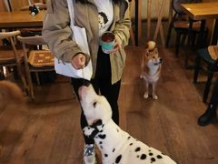 -萌喵咖啡屋(人民东路4号口M16商铺店)