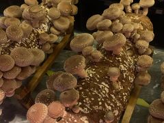 -大喜牛鲜牛肉火锅(世纪金源店)
