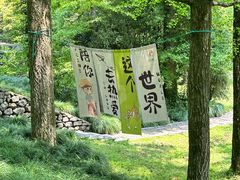 -五泄景区