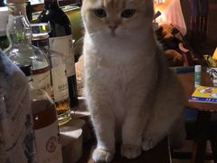 -咖法森林·咖啡  酒吧(天河店)