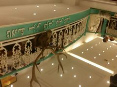 android_upload_pic-阿拉丁新疆风味餐厅·清真(罗廊巷店)