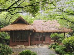 -中国茶叶博物馆(双峰馆区)