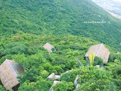 俯看散落在山中的鸟巢们-三亚亚龙湾人间天堂鸟巢度假村