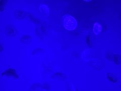 -沈阳海洋探索中心