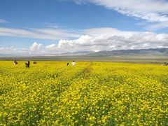 -青海湖国家重点风景名胜区