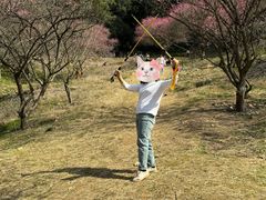 -新建村梅花