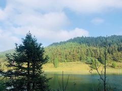 -武陵山森林公园