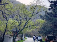 -秦岭终南山世界地质公园翠华山景区