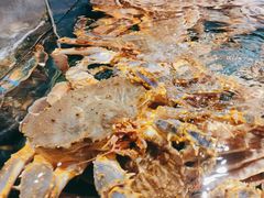 -龙宴海鲜城(经中路店)